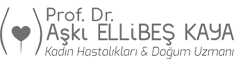 Prof. Dr. Aşkı Ellibeş Kaya